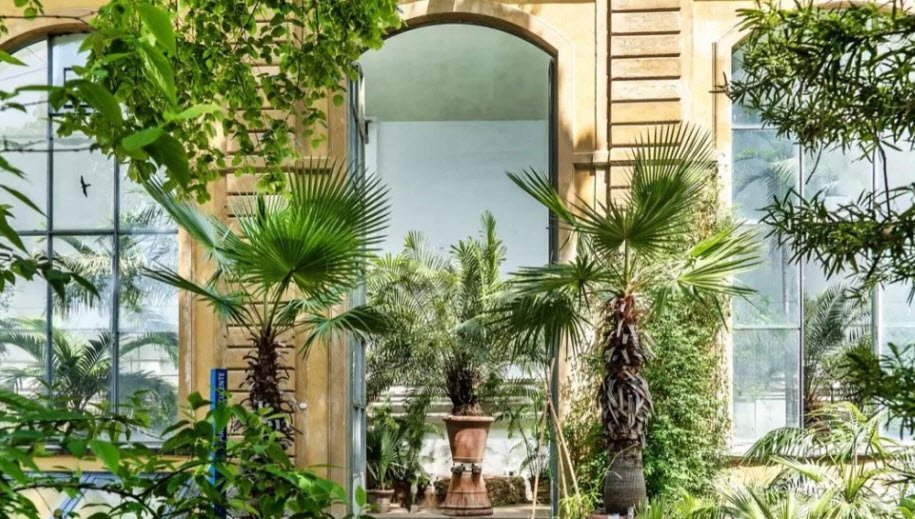 Orto e Museo Botanico, Pisa, Italy, Italy